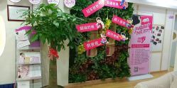 -康乃馨·馨悦佳人(鹭江店)