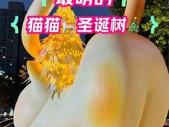 -上海尚嘉中心