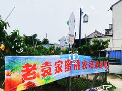 -老袁家蜜桃农场·阳山水蜜桃