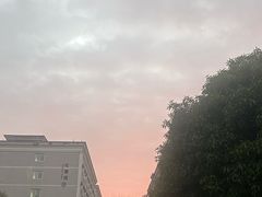 -浙江越秀外国语学院