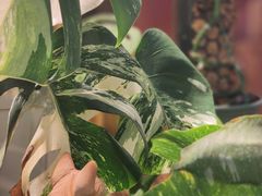 -109 COFFEE(建筑学院店)