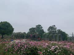 -尚贤河湿地