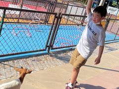 -太阳岛度假酒店