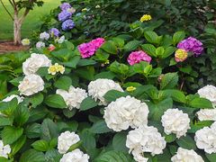 -常州古运河南大街文化旅游区-人民公园