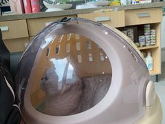 -谐和益家动物医院·免疫绝育·血液透析·宠保定点医院(高新伊藤分院)