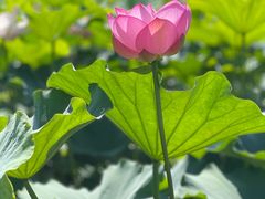 -重元寺香积厨素斋馆