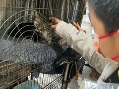 -沙湾姜埋奶(兴新包店)
