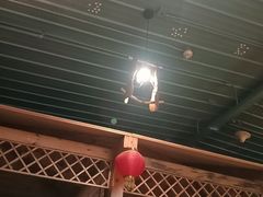 -老阿妈蒙古村·蒙古包·草原文化·歌舞表演(老君堂店)
