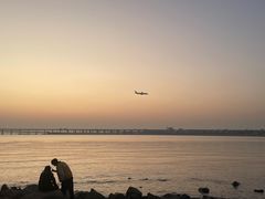 -宝安西湾红树林湿地公园