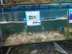 水产区-南海渔家•海鲜•正宗海南菜(海棠湾店)