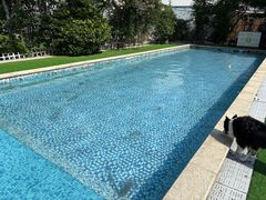 -汪说喵讲宠物乐园宠物酒店(红星美凯龙店)