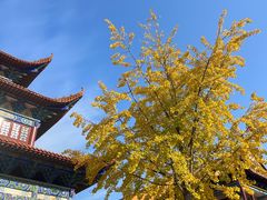 -章华寺