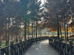 -自然谷恐龙园