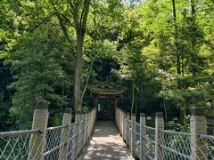 -凤栖山