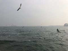 -爱舍海岸酒店(香港中路五四广场店)