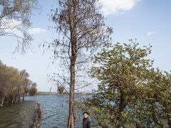 -磻溪渡口