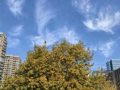 -杭州城北体育公园