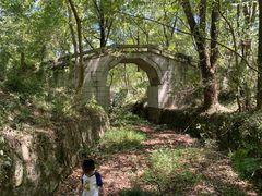 -青龙山国家森林公园