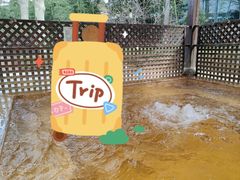 -春晖园度假酒店温泉