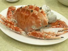 -德记潮州菜馆(卑路乍街)