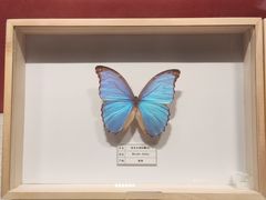 -四川宋瓷博物馆