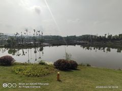 -枫香湖儿童公园