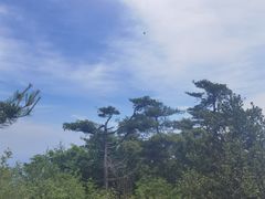 -秦岭天竺山景区