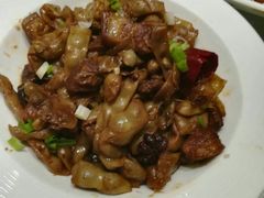 -龙福成肥牛火锅(文昌店)