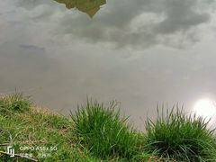 -白塔山公园