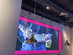 -老板恋上鱼(高新万达店)