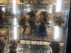 -大头椰·椰子鸡火锅(南宁万象城店)