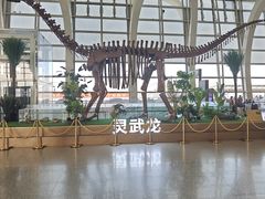 -银川河东国际机场