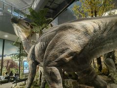 -湖南省地质博物馆