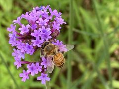 -南京市无想山景区