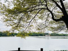 -南宁南湖公园