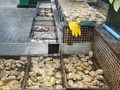 -海鲜e族(马王堆店)