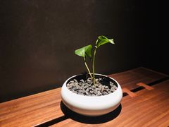 -常乐·对症推拿(来福士第43分店)