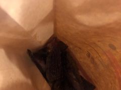 -都士牧人现烤牛肉干