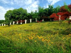 -南京市江宁方山