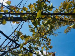 -大盘山温泉山庄