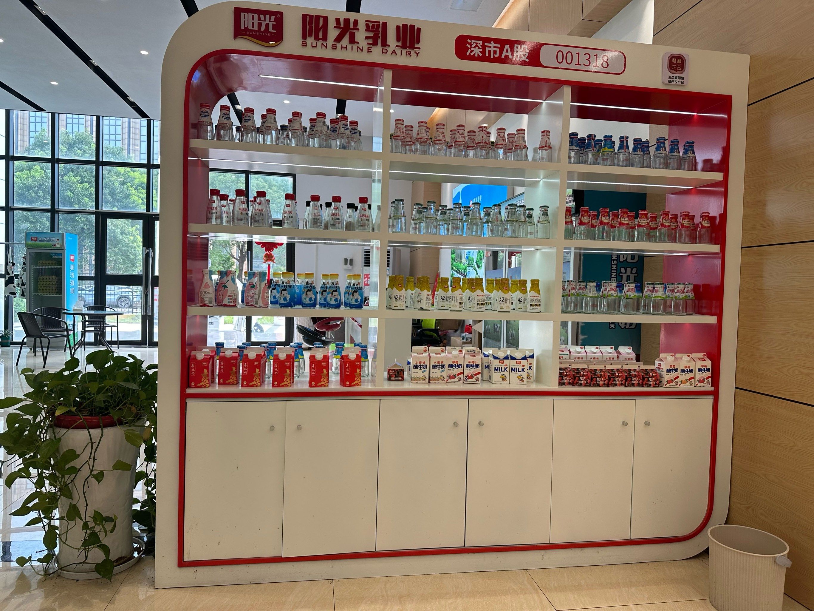 阳光鲜奶