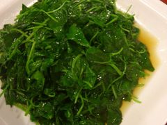 -旭龙鱼头王(航华店)