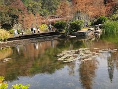 -云溪植物园