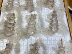 -官塘鱻鱻鱼生