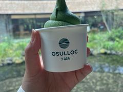 -雪绿茶博物馆