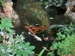 -聚缘堂·海鲜私房菜(松岭路店)
