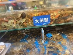 -亚马逊蒸汽活海鲜自助(LCM置汇旭辉广场店)