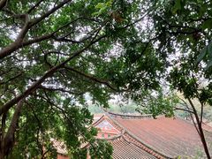 -晋江五店市传统文化旅游区
