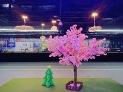 -VS SPORTS PARK运动玩乐园·团建·生日会(合生汇店)
