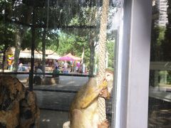 -长白岛森林公园